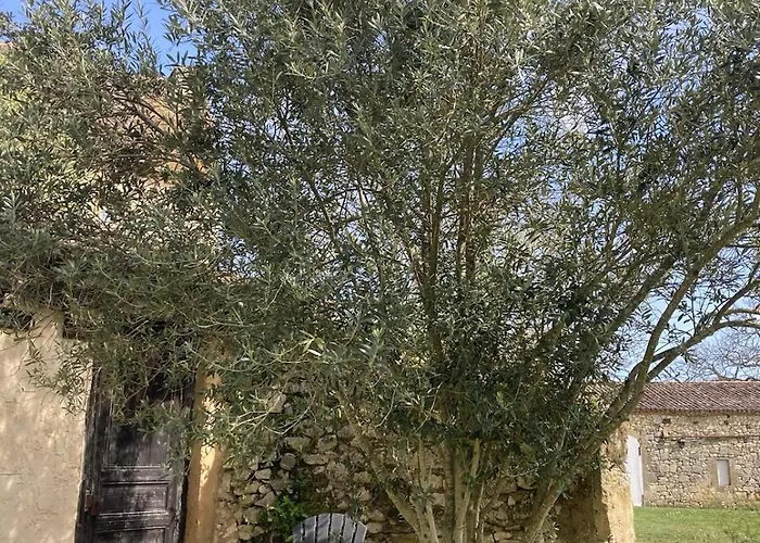 Bed & Breakfast Chateau De Monsac